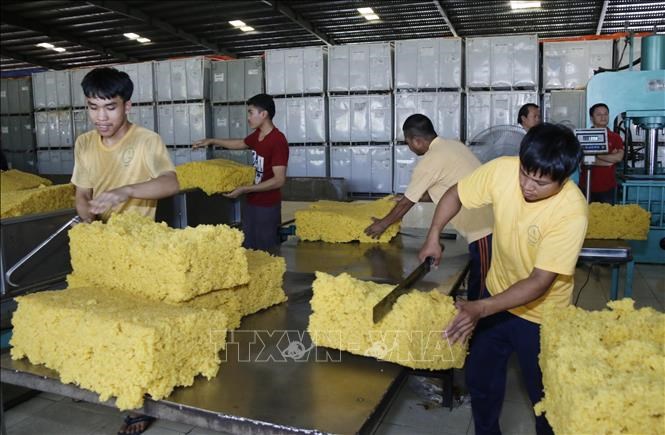 Doanh nghiệp Việt Nam tại Lào gắn kết hữu nghị - Đổi thay ở huyện Bachiang